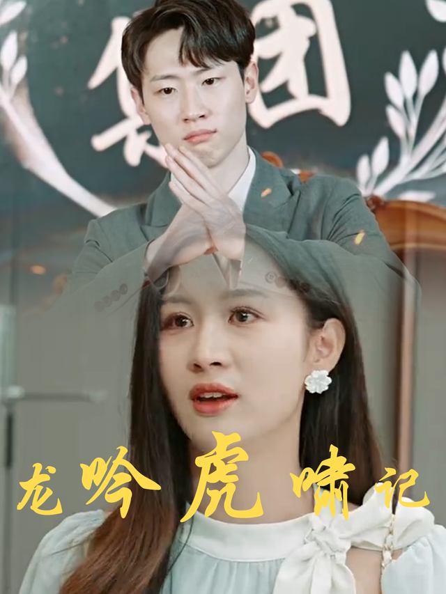 龙吟虎啸记封面