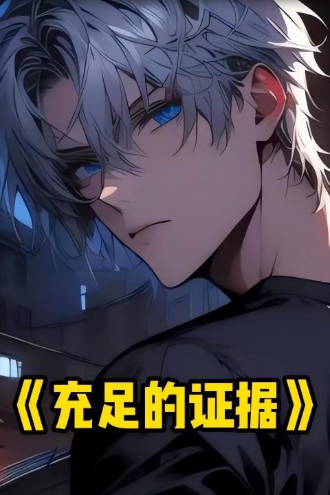 充足的证据封面