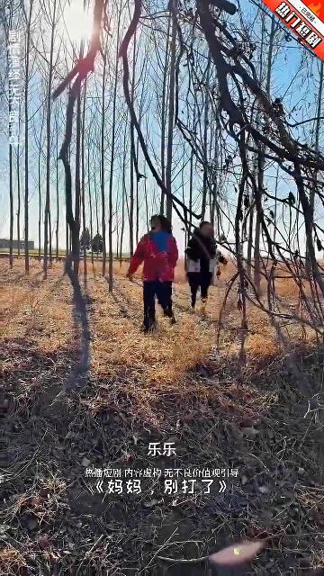 妈妈,别打了封面