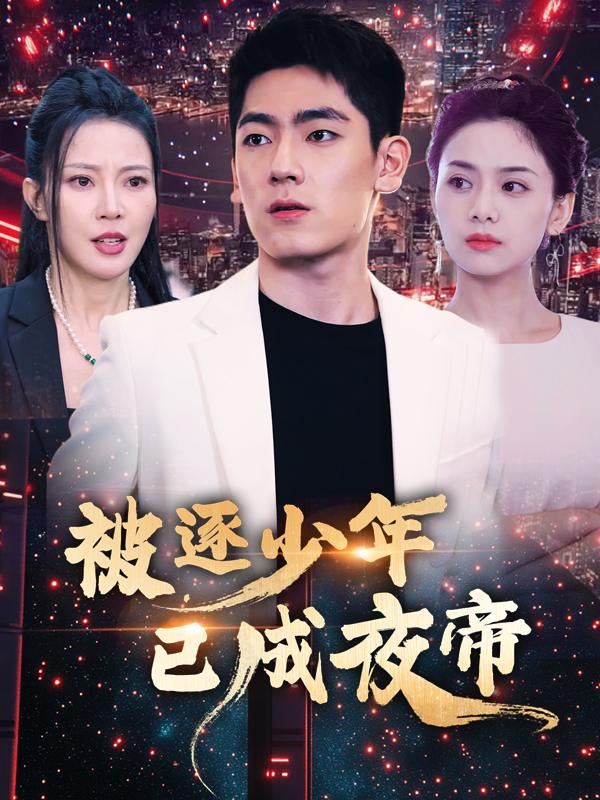被逐少年已成夜帝封面