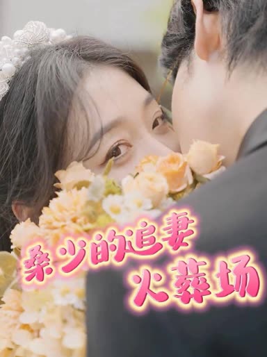 桑少的追妻火葬场封面