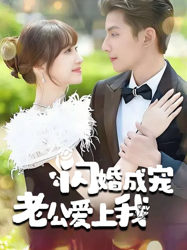 闪婚成宠老公爱上我封面