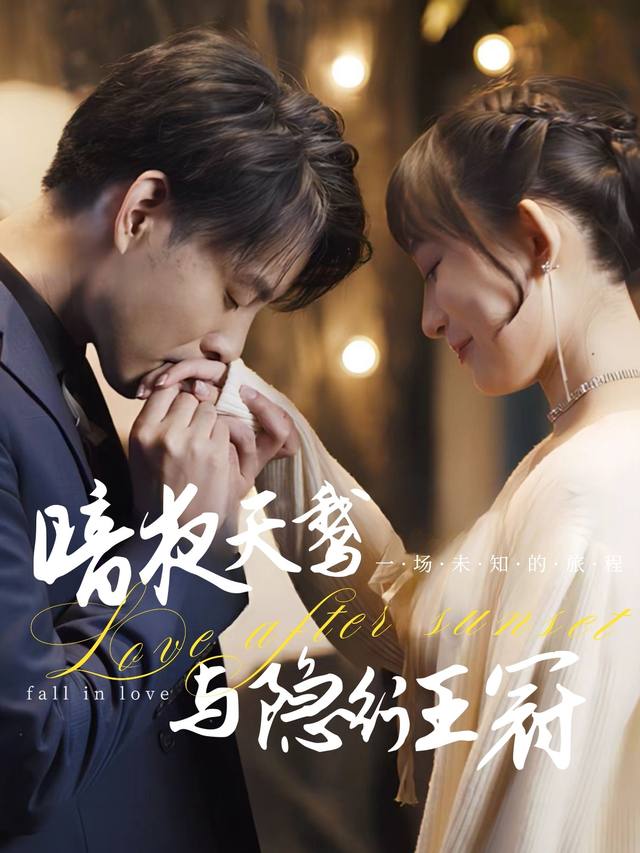 暗夜天鹅与隐形王冠封面