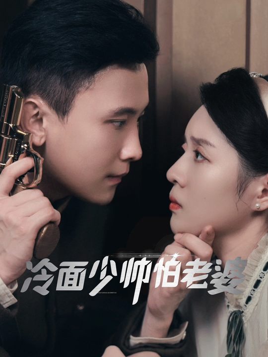 冷面少帅怕老婆封面