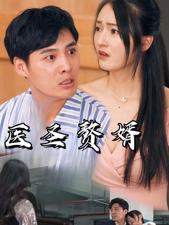 医圣赘婿封面