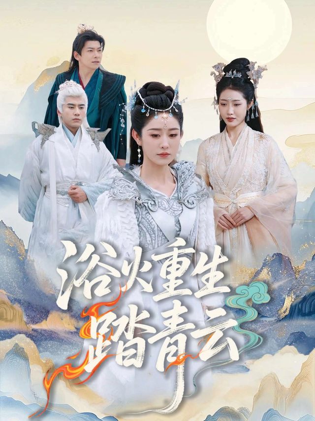浴火重生踏青云封面