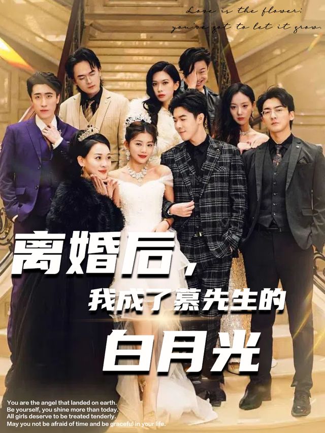 离婚后,我成了慕先生的白月光封面