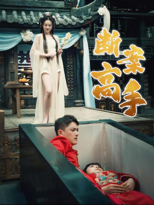 断案高手封面
