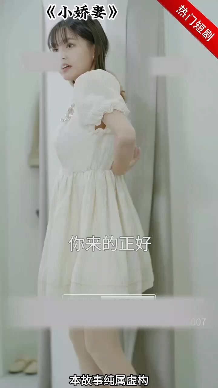 小娇妻封面