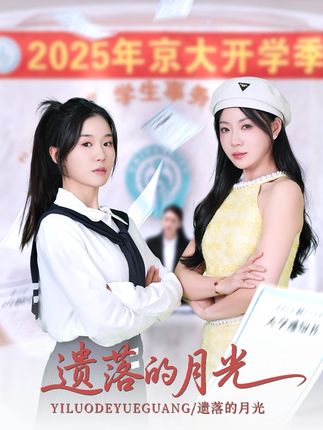 遗落的月光封面
