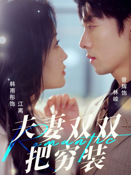 夫妻双双把穷装封面