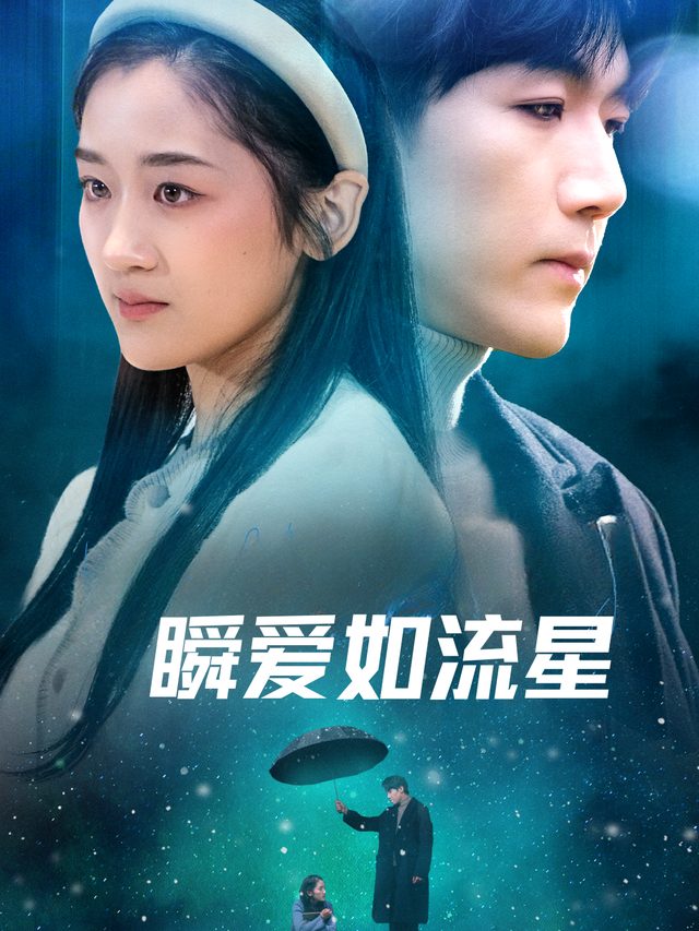 瞬爱如流星封面