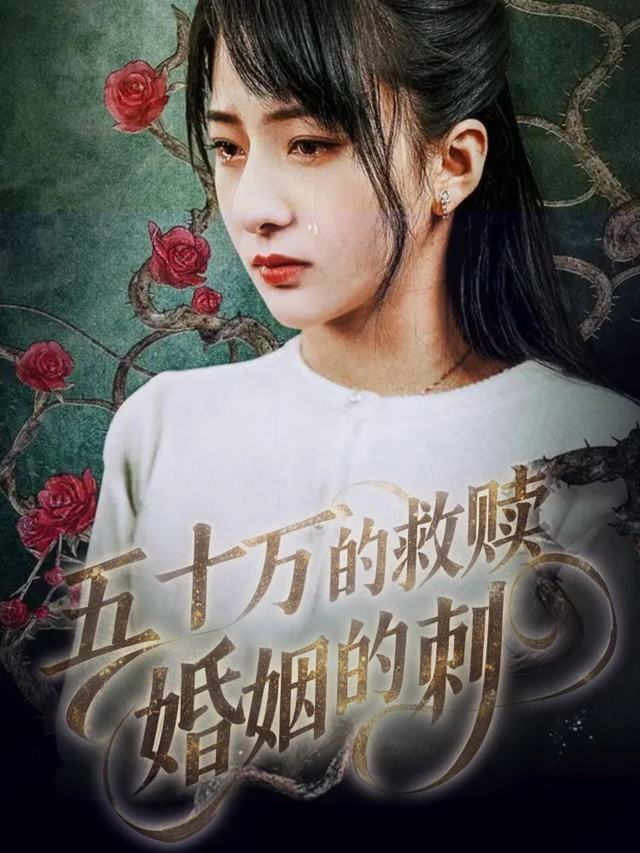 五十万的救赎，婚姻的刺封面