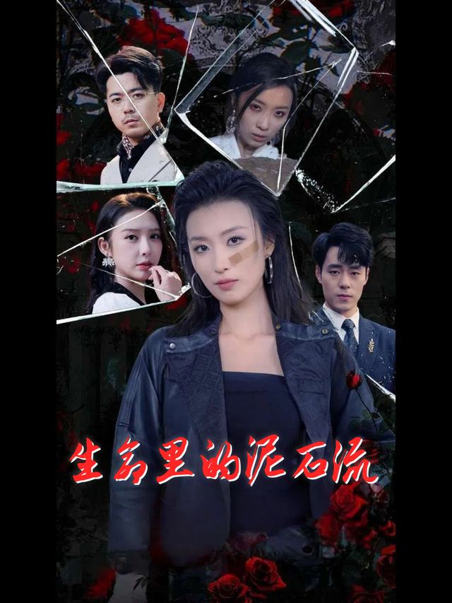 生命里的泥石流封面