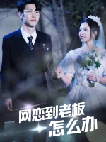 网恋到老板怎么办封面