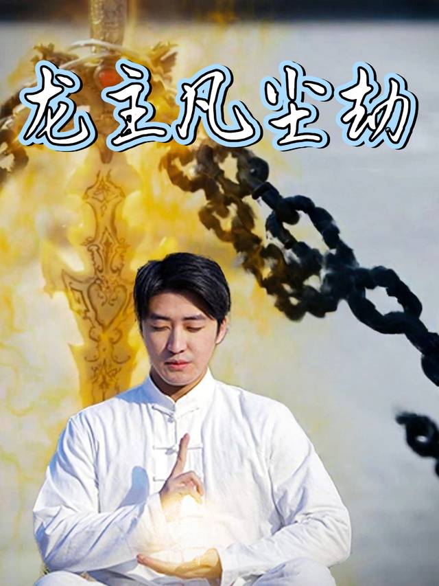 龙主凡尘劫封面