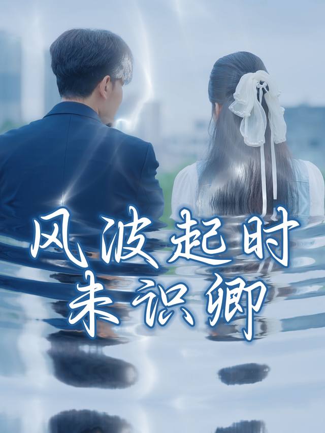 风波起时未识卿封面