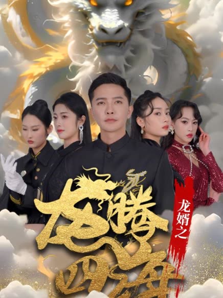 龙婿之龙腾四海封面