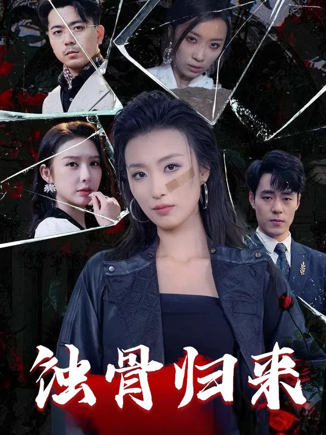 蚀骨归来封面