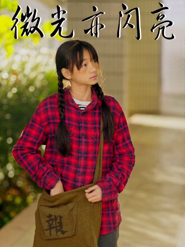 微光亦闪亮封面