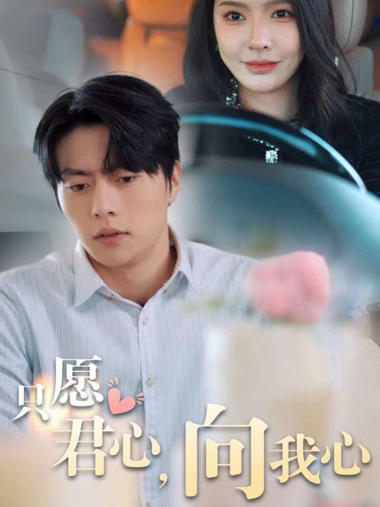只愿君心,向我心封面