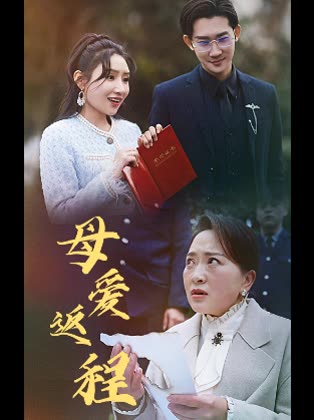 母爱返程封面