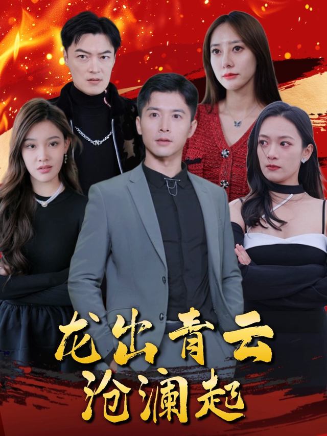 龙出青云沧澜起封面