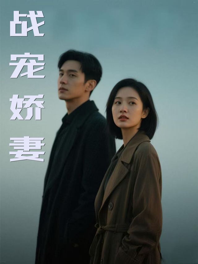 战宠娇妻封面
