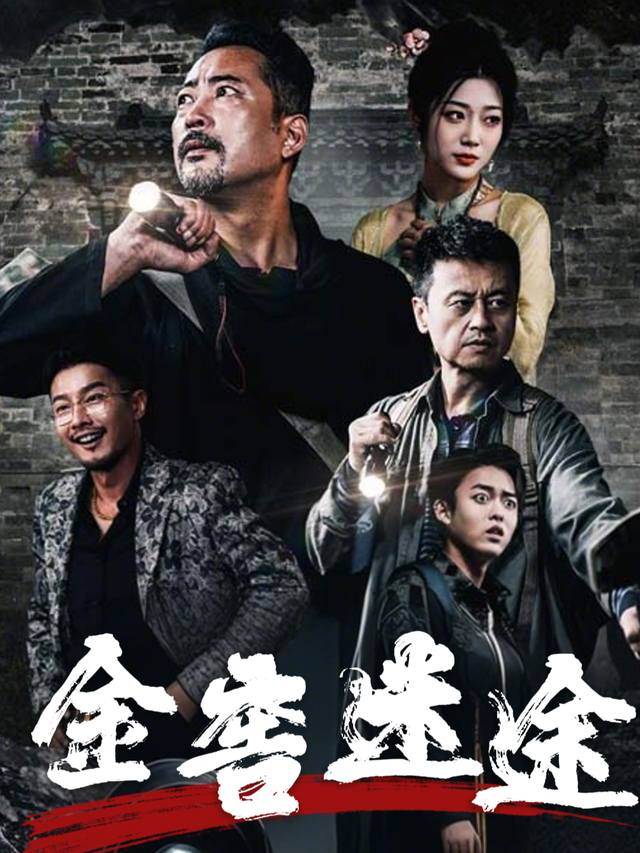 金窖迷途封面