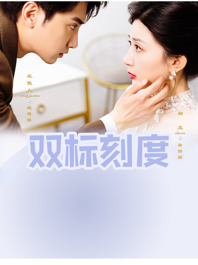 双标刻度封面