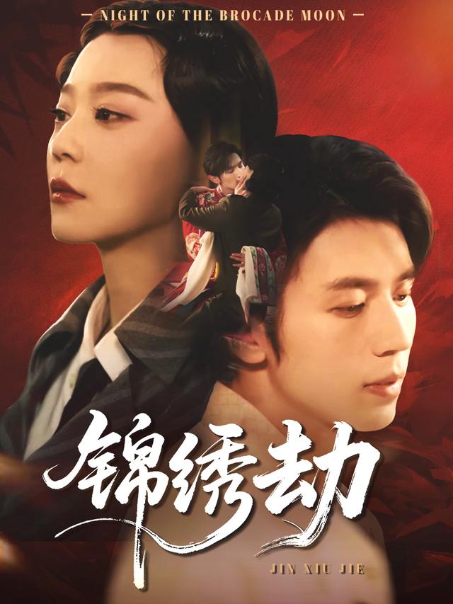 锦绣劫封面