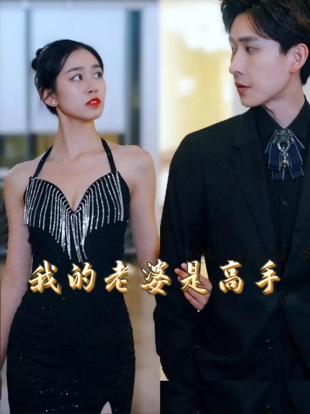 我的老婆是高手封面