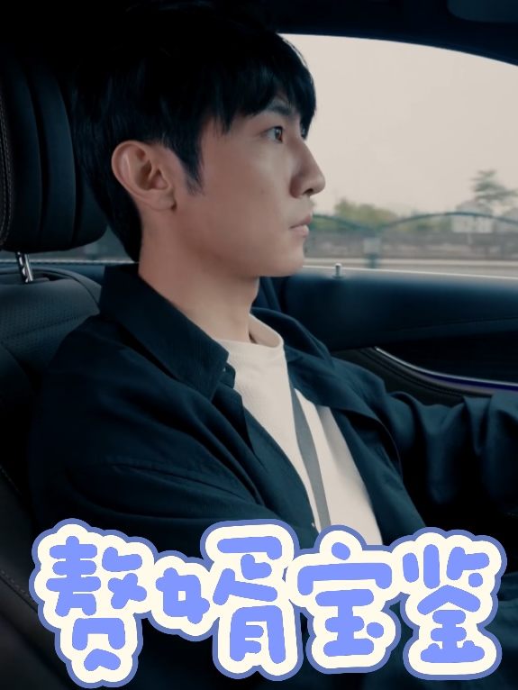 赘婿宝鉴封面