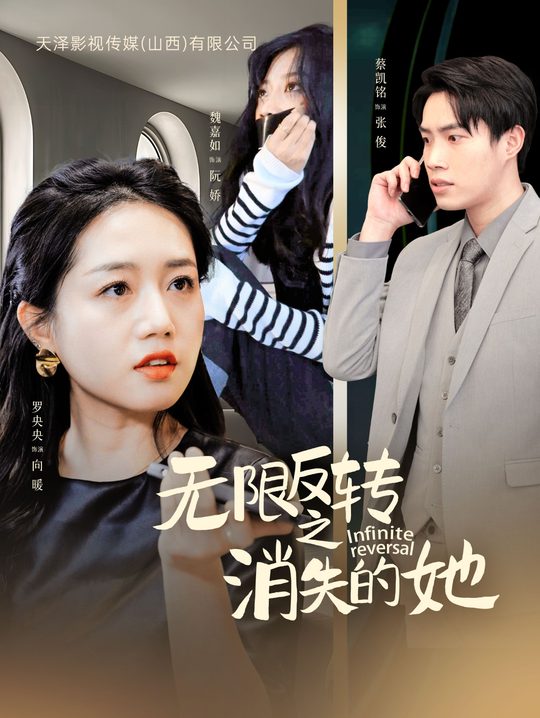 无限反转之消失的她封面