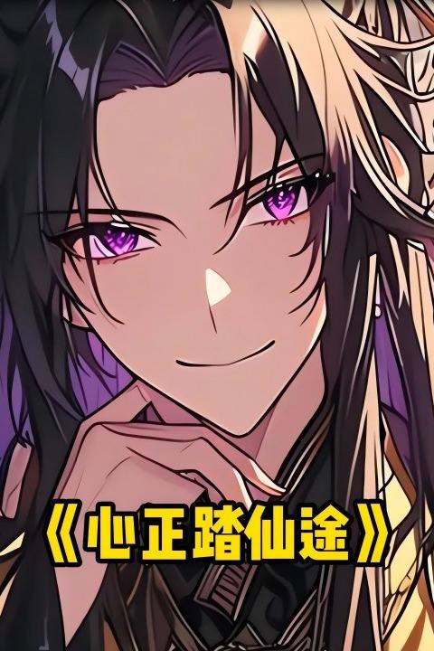心正踏仙途封面