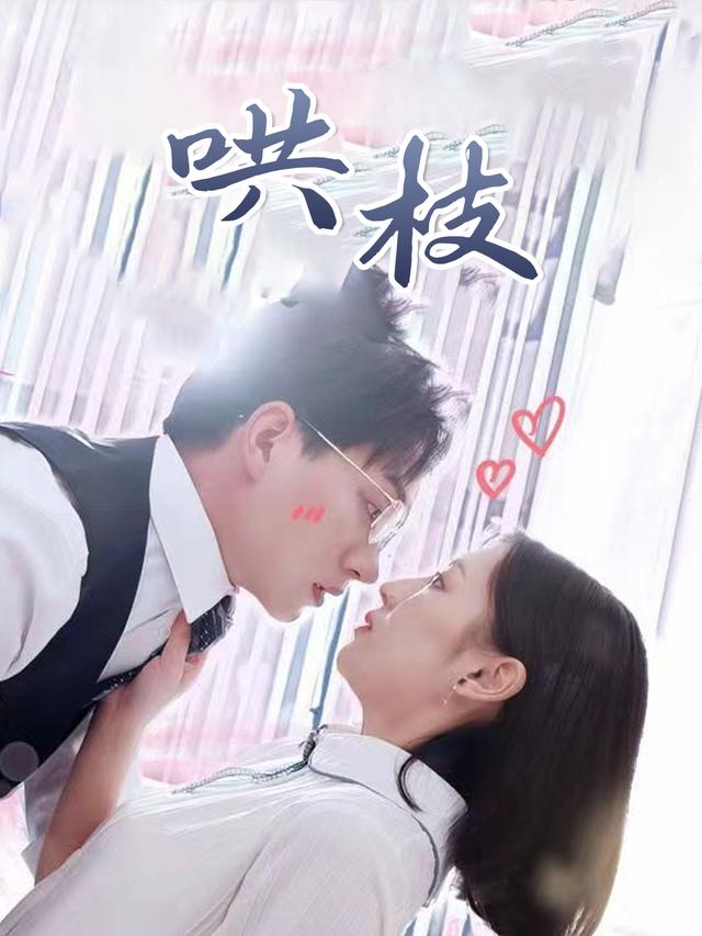 哄枝封面