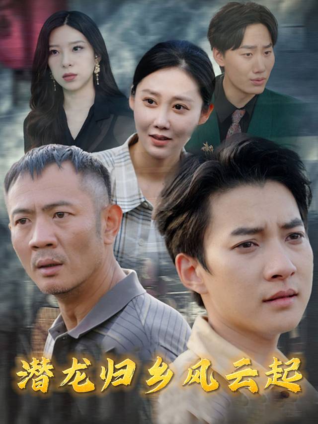 潜龙归乡风云起封面