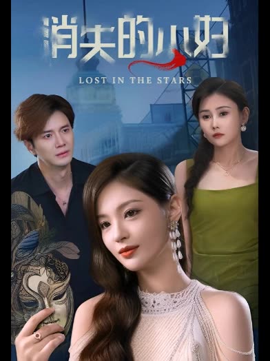 消失的少妇封面