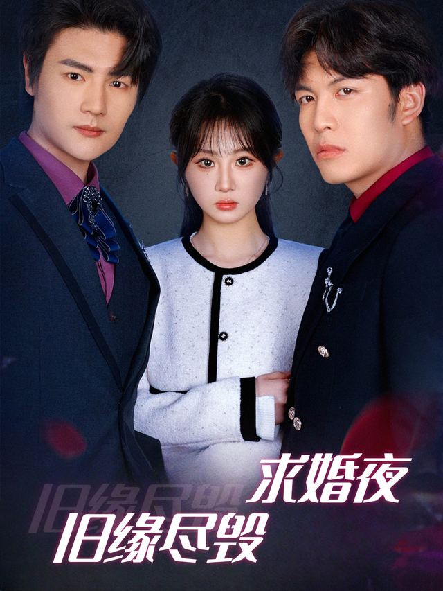 旧缘尽毁求婚夜封面