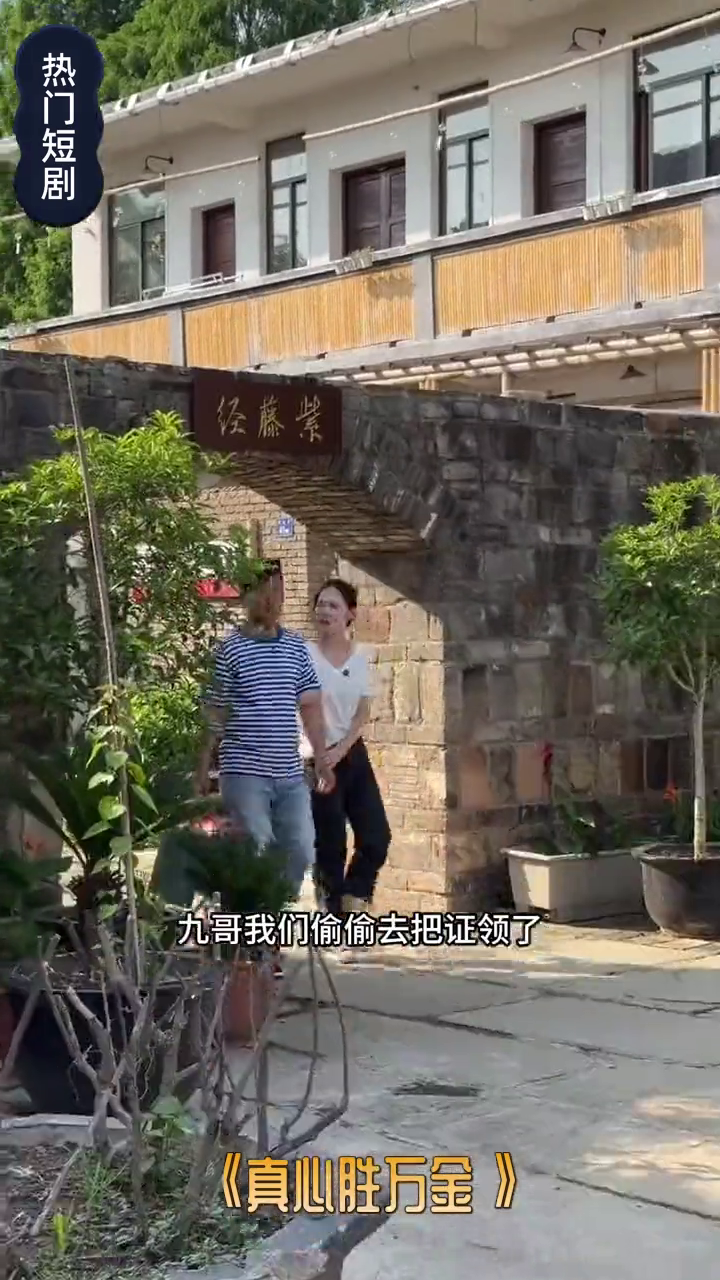 真心胜万金封面
