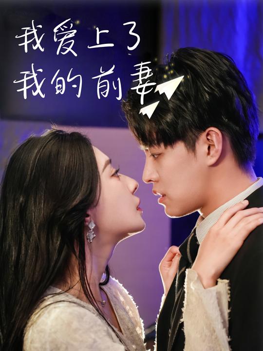 我爱上了我的前妻封面