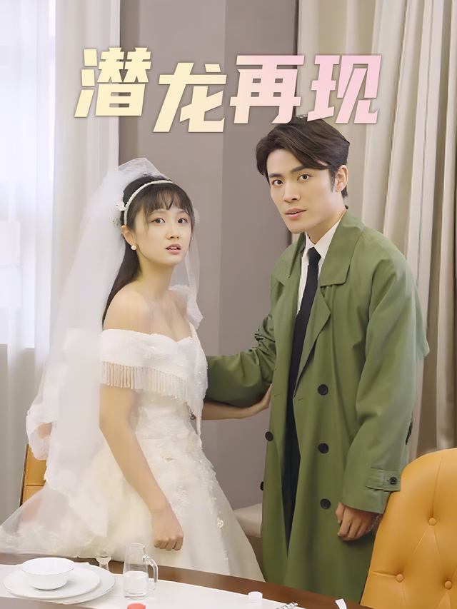 潜龙再现封面