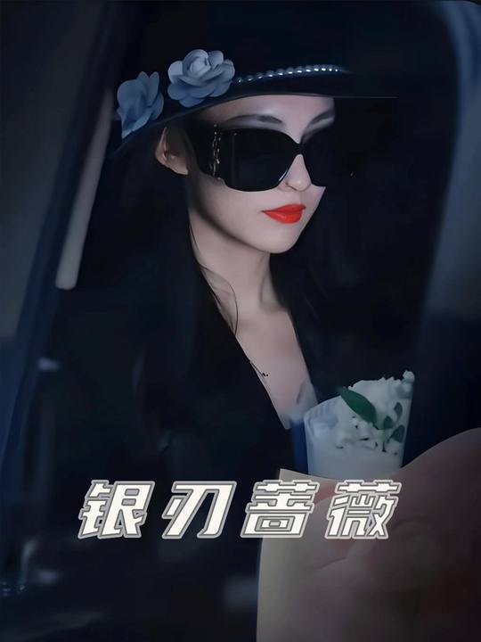 银刃蔷薇封面
