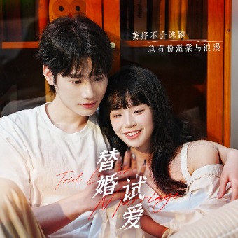 替婚试爱封面