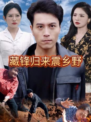 藏锋归来震乡野封面