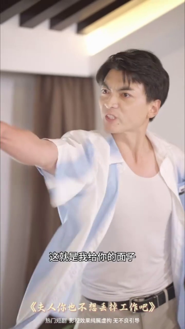 夫人你也不想丢掉工作吧封面