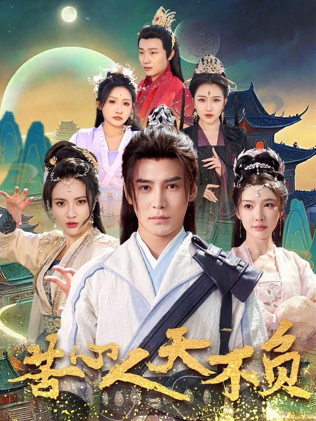 苦心者天不负封面