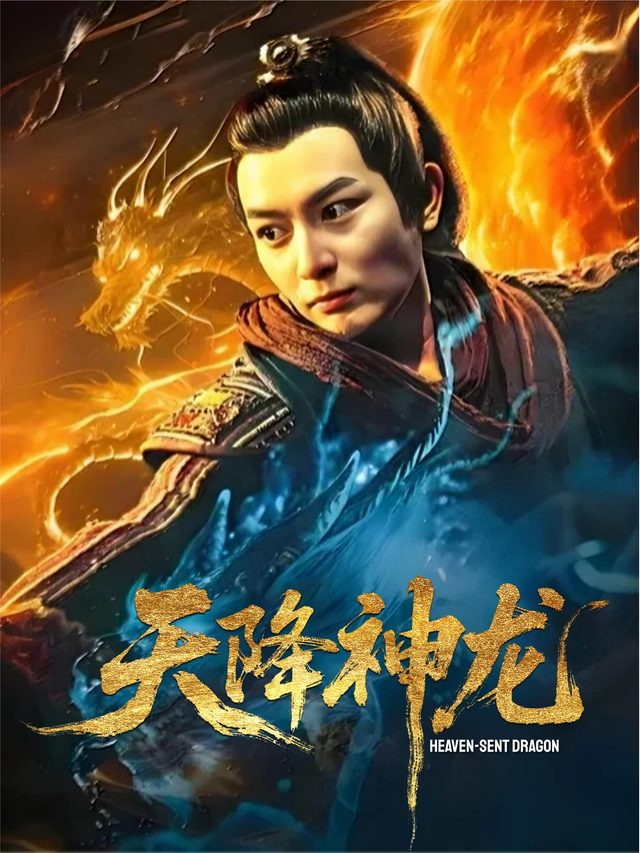 天降神龙封面