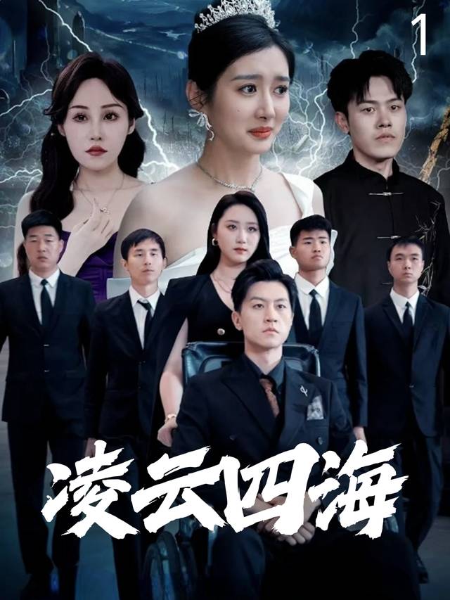 凌云四海封面