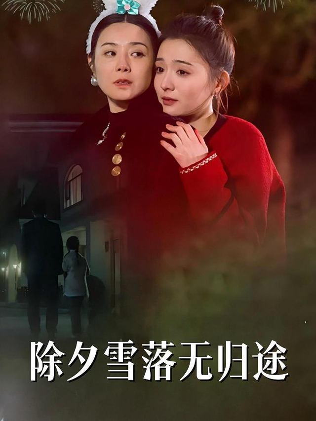 除夕雪落无归途封面